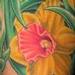 Gerber Daisy, Dahlia, Peony and Daffodils Floral Sleeve   Tattoo Design Thumbnail